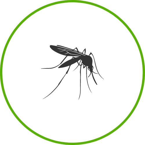 Thrive pest mosquito control