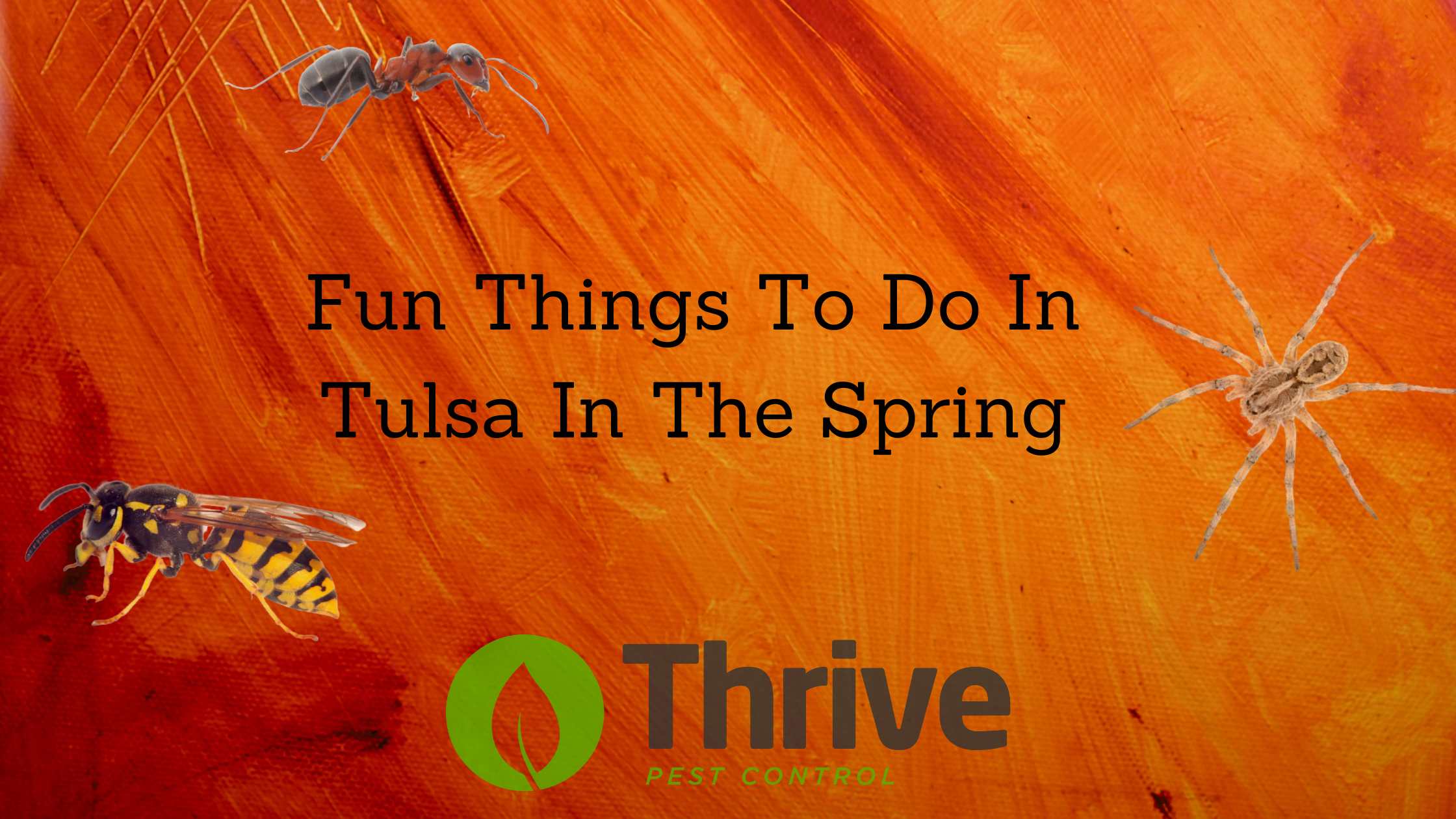 Fun Things To Do In Tulsa In The Spring