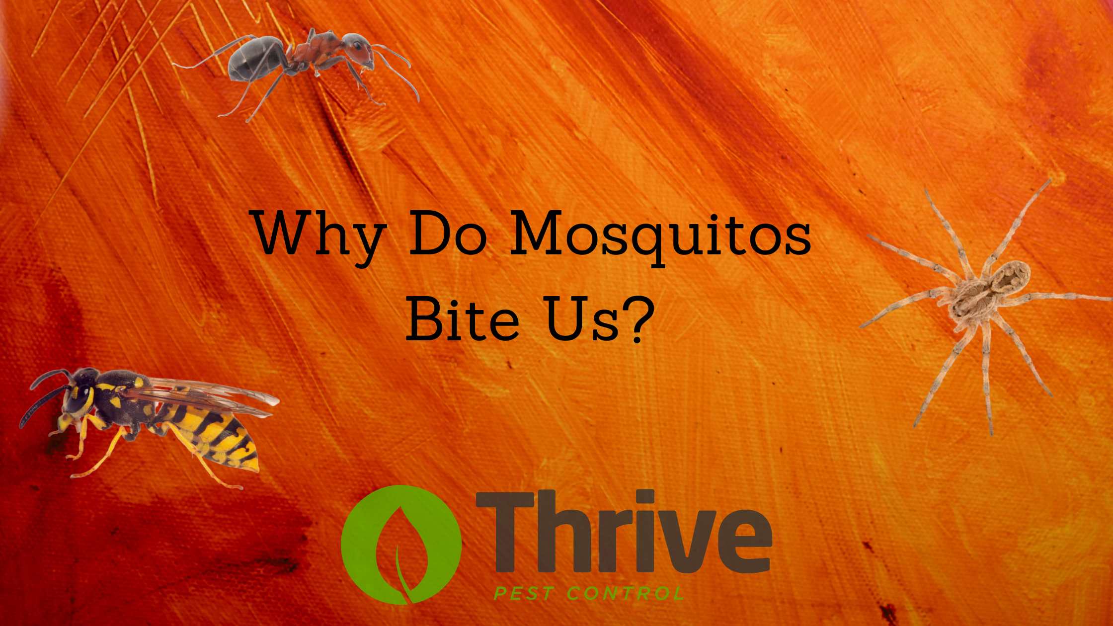 Why Do Mosquitos Bite Us