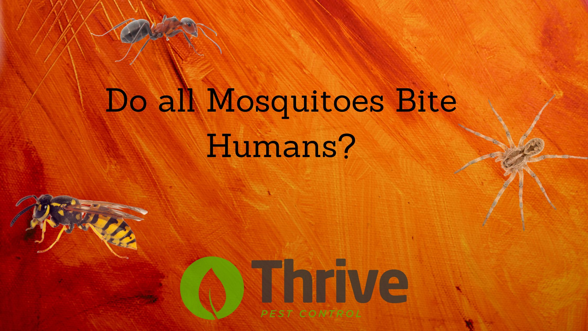 Do all Mosquitoes Bite Humans