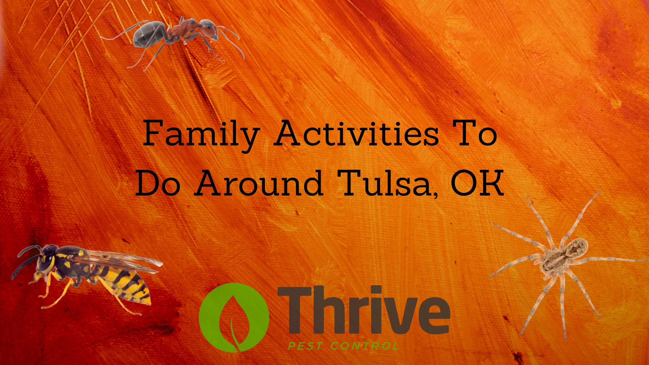 Family Activities To Do Around Tulsa OK