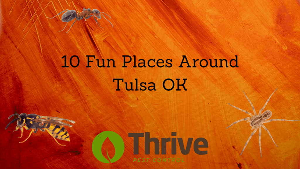 10 Fun Places Around Tulsa OK