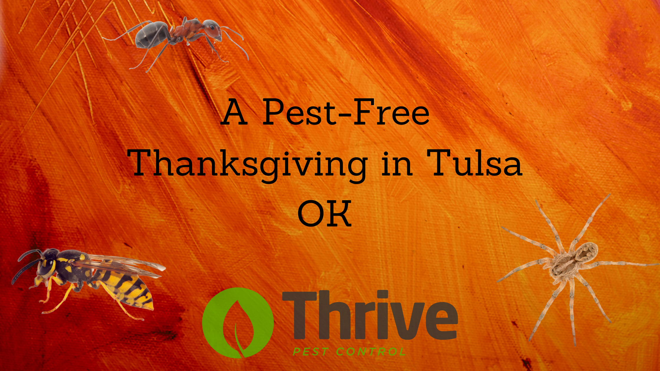 A Pest-Free Thanksgiving in Tulsa OK