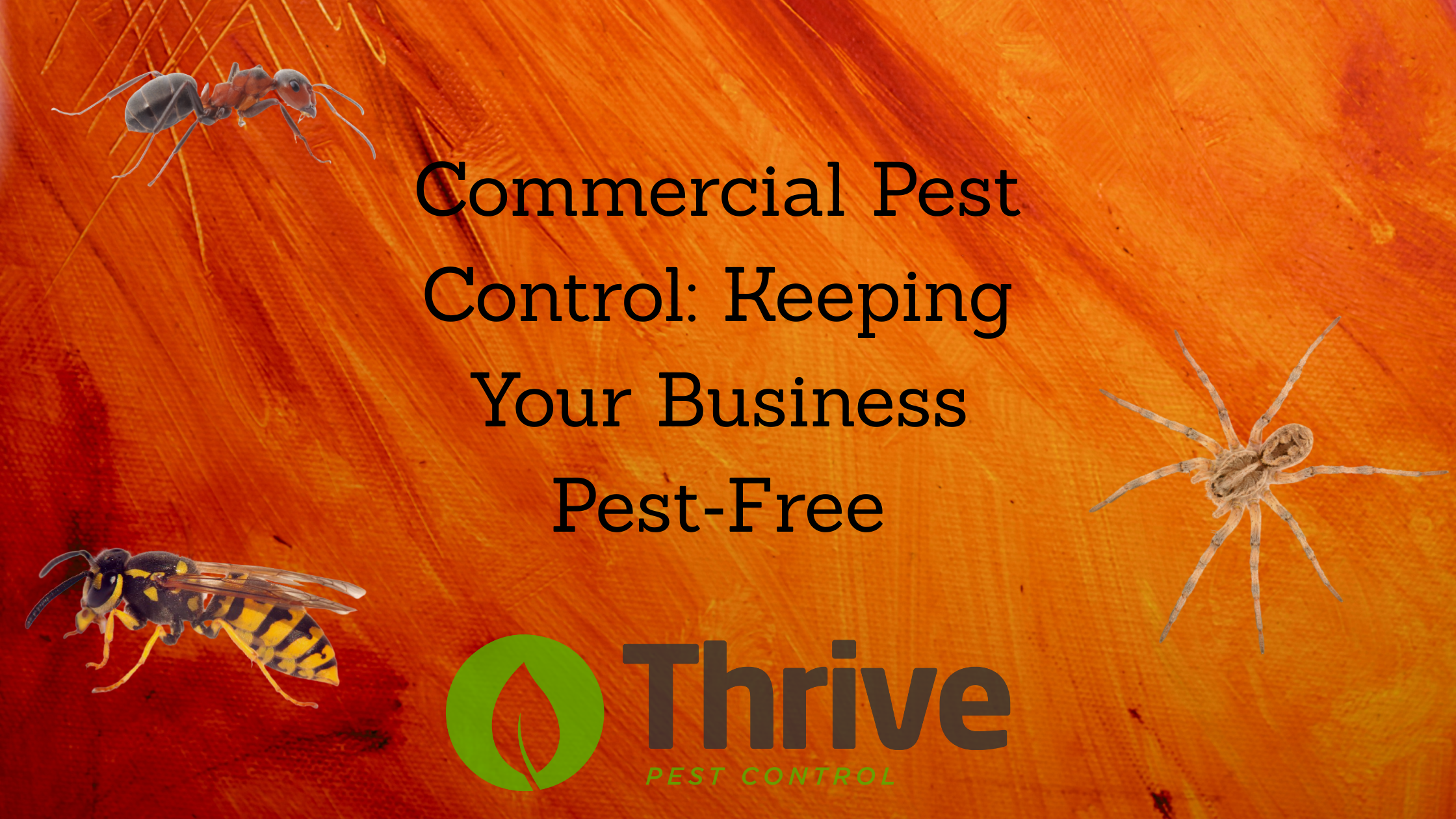 Commercial Pest Control Keeping Your Business Pest‑Free