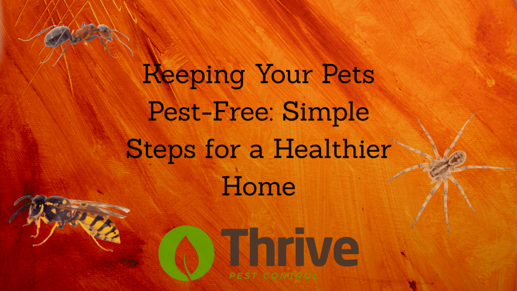 Keeping Your Pets Pest-Free Simple Steps for a Healthier Home